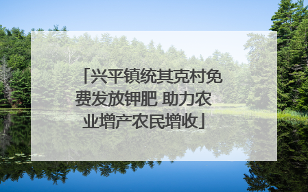 兴平镇统其克村免费发放钾肥 助力农业增产农民增收